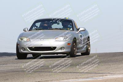 media/Oct-19-2024-Speed Ventures (Sat) [[2b24c230c9]]/Purple/Session 2 (Grapevine)/